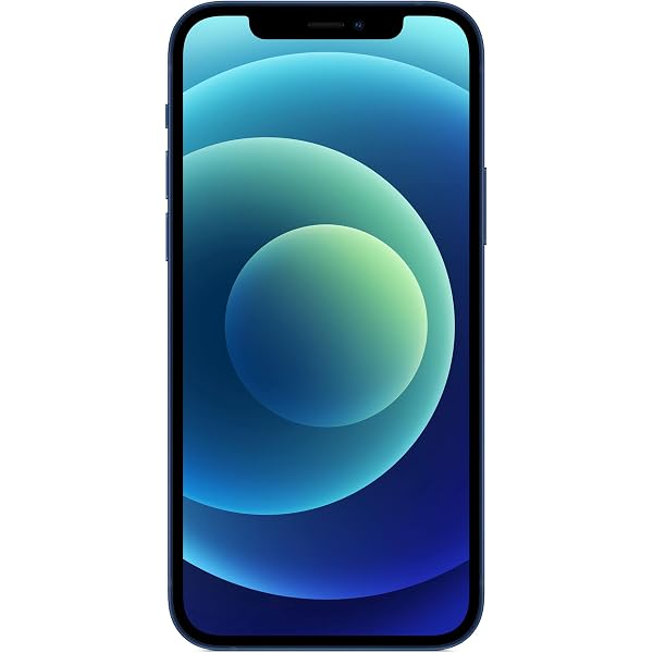 Apple iPhone 12 本体　ブルー　64GB Nuevo Apple iPhone 12 (64 GB) - Azul : Amazon.es: Electrónica